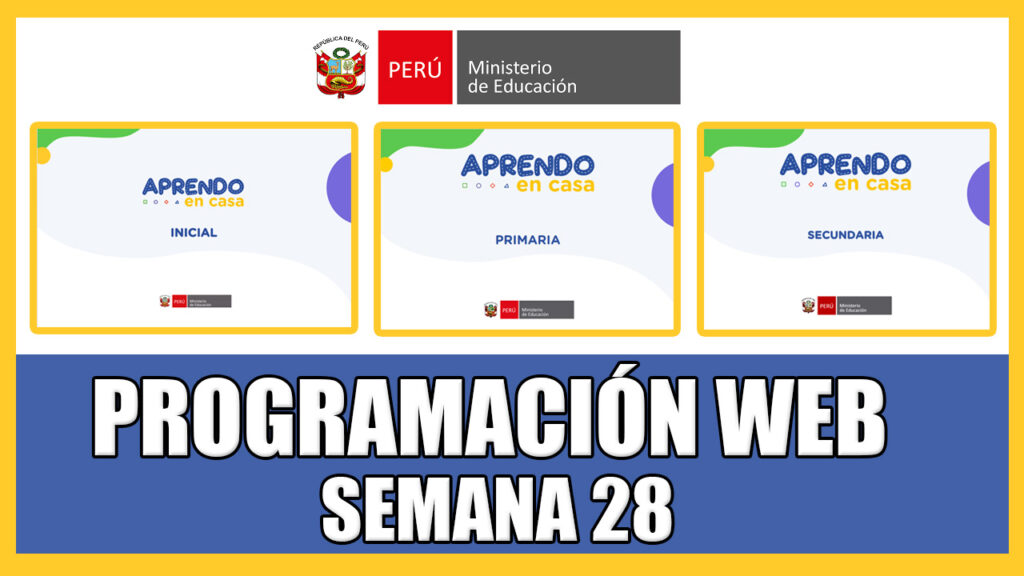 PROGRAMACIÓN WEB SEMANA 28