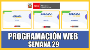 SEMANA 29 PROGRAMACIÓN WEB