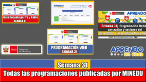 SEMANA 31 GUIA DOCENTE PROGRAMACIÓN WEB PROGRAMACIÓN POR TV Y RADIO