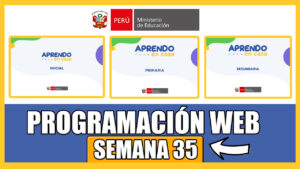 Semana 35| programación web (Inicial Primaria y Secundaria)