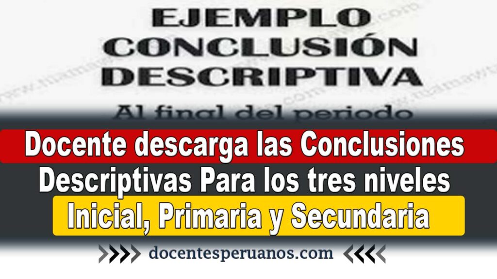 Docente descarga las Conclusiones Descriptivas Para los tres niveles Inicial, Primaria y Secundaria