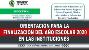 ORIENTACIÓN PARA LA FINALIZACIÓN DEL AÑO ESCOLAR 2020 EN LAS INSTITUCIONES