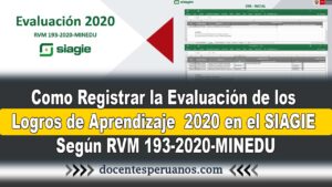 Minedu: Como registrar la Evaluación de los logros de aprendizaje 2020 en el SIAGIE según RVM 193-2020-MINEDU