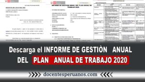 INFORME DE GESTIÒN ANUAL DEL PLAN ANUAL DE TRABAJO 2020