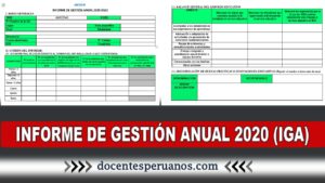 informe de gestión anual IGA