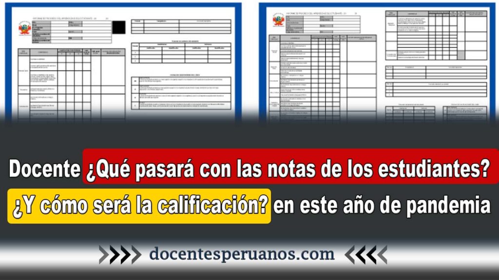 Docente ¿Qué pasará con las notas de los estudiantes? ¿Y cómo será la calificación? en este año de pandemia