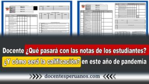 Docente ¿Qué pasará con las notas de los estudiantes? ¿Y cómo será la calificación? en este año de pandemia