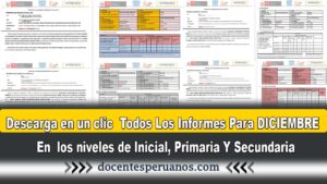 Descarga en un clic Todos Los Informes Para DICIEMBRE En los niveles de Inicial, Primaria Y Secundaria