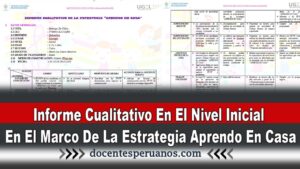 Informe Cualitativo En El Nivel Inicial En El Marco De La Estrategia Aprendo En Casa