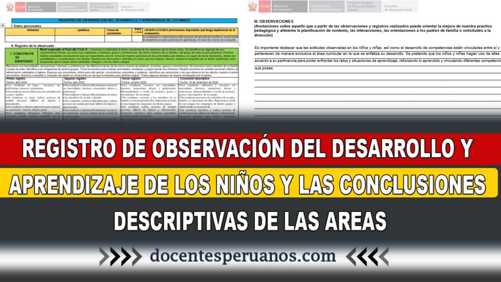 REGISTRÓ DE OBSERVACIÓN DEL DESARROLLO Y APRENDIZAJE DE LOS NIÑOS Y LAS CONCLUSIONES DESCRIPTIVAS DE LAS AREAS