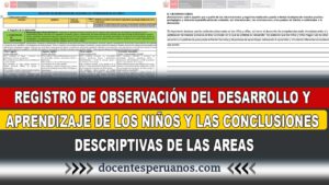 REGISTRÓ DE OBSERVACIÓN DEL DESARROLLO Y APRENDIZAJE DE LOS NIÑOS Y LAS CONCLUSIONES DESCRIPTIVAS DE LAS AREAS