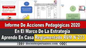 Informe De Acciones Pedagógicas 2020 En El Marco De La Estrategia Aprendo En Casa Reglamentado RVM N°273