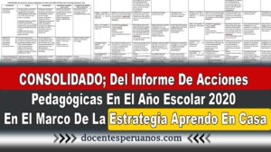 CONSOLIDADO; Del Informe De Acciones Pedagógicas En El Año Escolar 2020 En El Marco De La Estrategia Aprendo En Casa