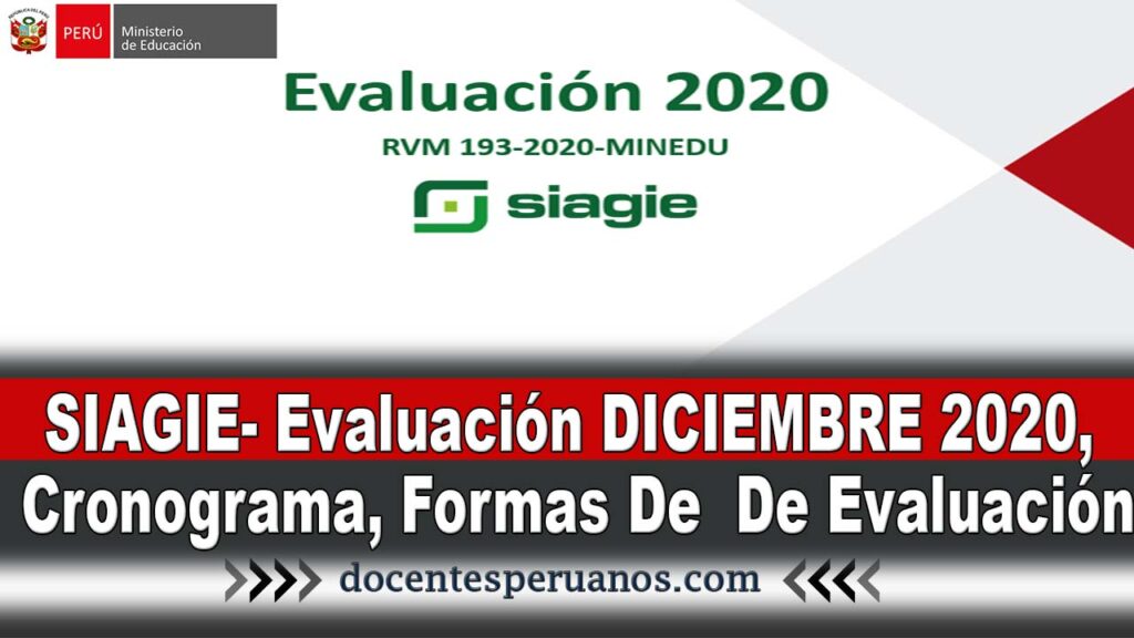 SIAGIE- Evaluación DICIEMBRE 2020, Cronograma, Formas De Registro De Evaluación