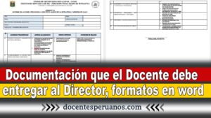 Documentación que el Docente debe entregar al Director, formatos en word