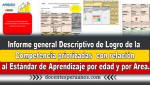 Informe general Descriptivo de Logro de la Competencia priorizadas con relación al Estándar de Aprendizaje por edad y por Área.