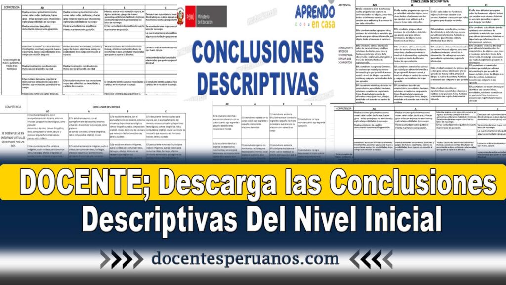 Docente; descarga las Conclusiones Descriptivas Del Nivel Inicial