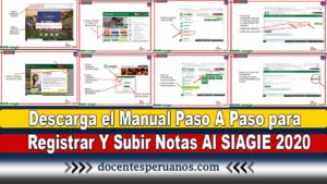 Descarga el Manual Paso A Paso para Registrar Y Subir Notas Al SIAGIE 2020