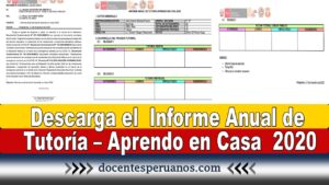 Descarga el Informe Anual de Tutoría – Aprendo en Casa 2020