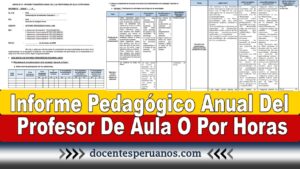 Informe Pedagógico Anual Del Profesor De Aula O Por Horas