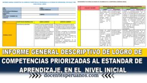 informe general descriptivo de competencias del nivel inicial