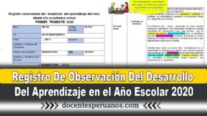 Registro De Observación Del Desarrollo Del Aprendizaje en el Año Escolar 2020