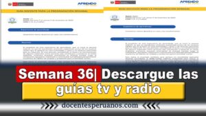 Semana 36| Salió La Guía Docente Por Tv Y Radio Nacional Para Inicial-Primaria-Secundaria