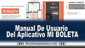 Manual De Usuario Del Aplicativo MI BOLETA