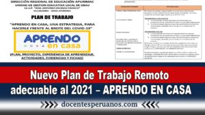 Nuevo Plan de Trabajo Remoto adecuable al 2021 – APRENDO EN CASA