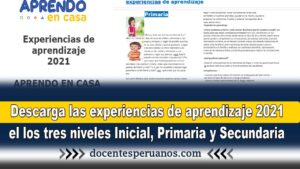 ejemplos de experiencias de aprendizajes