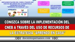 CONOZCA SOBRE LA IMPLEMENTACIÓN DEL CNEB A TRAVÉS DEL USO DE RECURSOS DE LA ESTRATEGIA "APRENDO EN CASA"