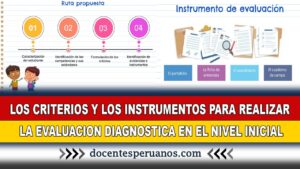 criterios y los onstrumentos para la evaluación diagnostica