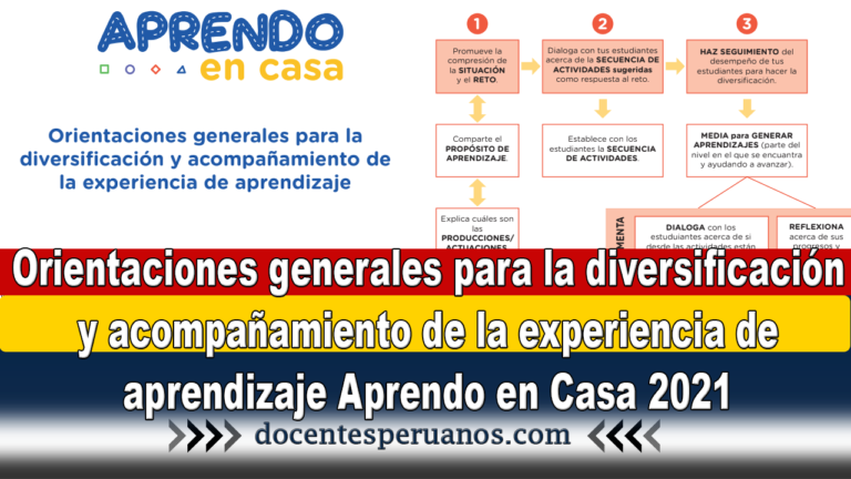 Orientaciones Generales Para La Diversificación Y Acompañamiento De La Experiencia De 8387