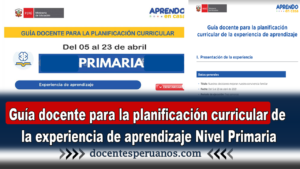 Guía docente para la planificación curricular de la experiencia de aprendizaje Nivel Primaria