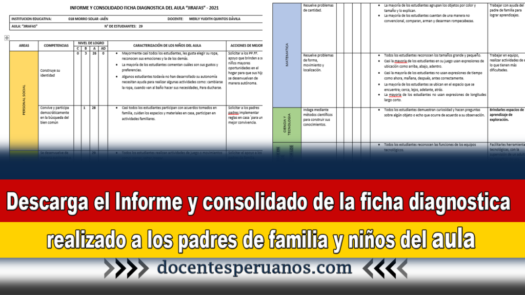 Informe Y Consolidado De La Ficha Diagnostica