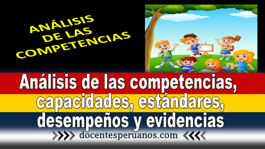 Análisis de las competencias, capacidades, estándares, desempeños y evidencias