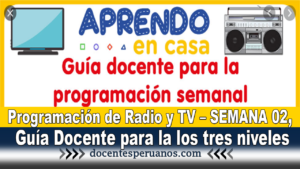 Programación de Radio y TV – SEMANA 02, Guía Docente para la los tres niveles