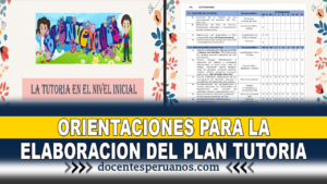 ORIENTACIONES PARA LA ELABORACION DEL PLAN TUTORIA