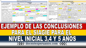 EJEMPLO DE LAS CONCLUSIONES PARA EL SIAGIE PARA EL NIVEL INICIAL 3,4 Y 5 AÑOS