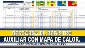 DESCARGA EL REGISTRO AUXILIAR CON MAPA DE CALOR.