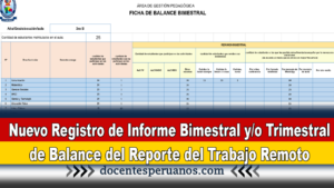 Nuevo Registro de Informe Bimestral y/o Trimestral de Balance del Reporte del Trabajo Remoto