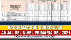 PROGRAMACION CURRICULAR ANUAL DEL NIVEL PRIMARIA DEL 2021