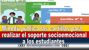 Minedu publica las cartillas para realizar el soporte socioemocional a los estudiantes