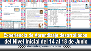 Experiencia de Aprendizaje desarrollados del Nivel Inicial del 14 al 18 de Junio