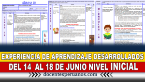 EXPERIENCIA DE APRENDIZAJE DESARROLLADOS DEL 14 AL 18 DE JUNIO NIVEL INICIAL