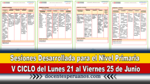 Sesiones Desarrollada para el Nivel Primaria V CICLO del Lunes 21 al Viernes 25 de Junio