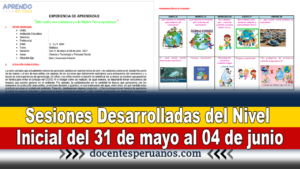 Sesiones Desarrolladas del Nivel Inicial del 31 de mayo al 04 de junio