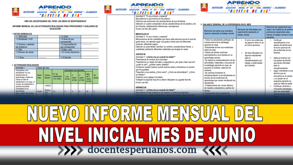 NUEVO INFORME MENSUAL DEL NIVEL INICIAL MES DE JUNIO