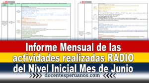 Informe Mensual de las actividades realizadas RADIO del Nivel Inicial Mes de Junio