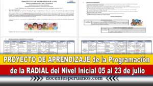 PROYECTO DE APRENDIZAJE Programación de la RADIO del Nivel Inicial 05 al 23 de julio